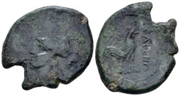 Campania , Cales Bronze circa 265-260
