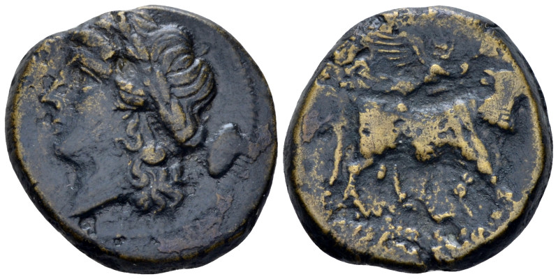 Campania , Cales Bronze circa 265-240, Æ 21.00 mm., 6.95 g.
Laureate head of Ap...