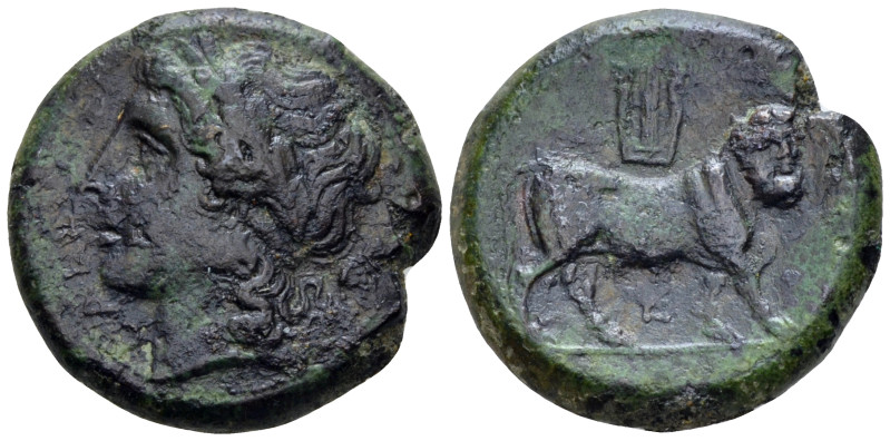 Campania , Cales Bronze circa 265-240, Æ 21.00 mm., 7.76 g.
Laureate head of Ap...