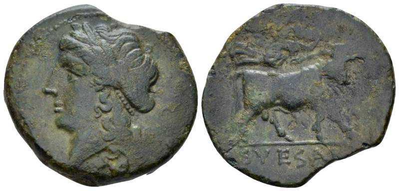 Campania , Suessa Bronze circa 265-240, Æ 21.00 mm., 5.00 g.
Laureate head of A...
