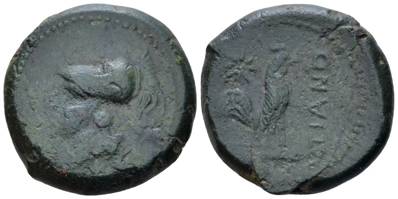 Campania , Teanum Sidicinum Bronze circa 265-240, Æ 19.00 mm., 7.10 g.
Helmeted...