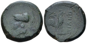 Campania , Teanum Sidicinum Bronze circa 265-240