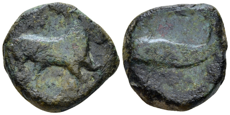 Apulia, Salapia Bronze circa 275-250, Æ 17.00 mm., 6.56 g.
Horse stepping r. Re...