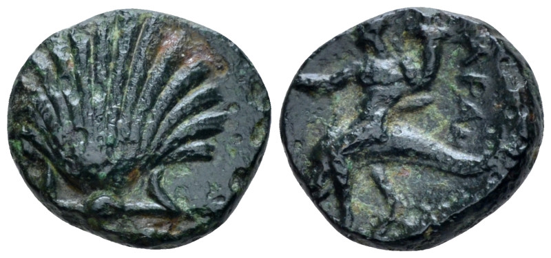 Calabria, Tarentum Bronze circa 275-250, Æ 13.00 mm., 2.22 g.
Shell. Rev. Dolph...