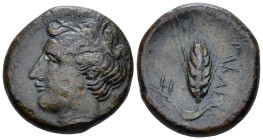 Lucania, Heraclea Bronze circa 281-250