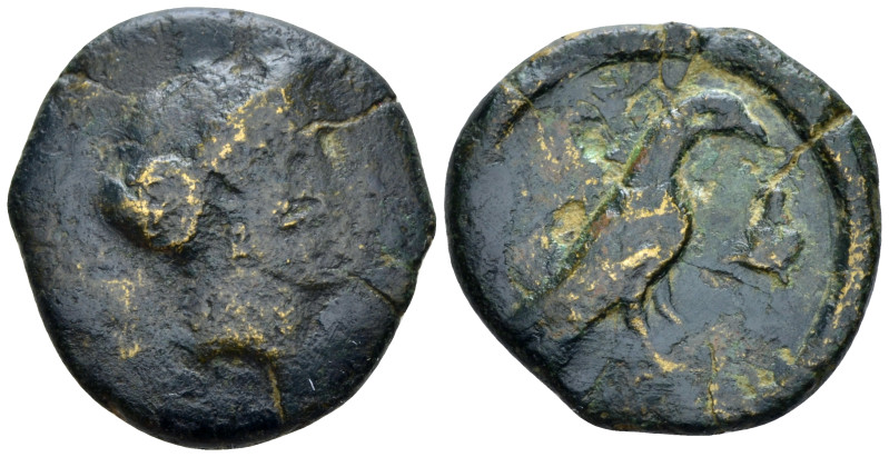 Lucania, Laos Bronze circa 350-300, Æ 21.00 mm., 6.84 g.
Head of Demeter r. Rev...