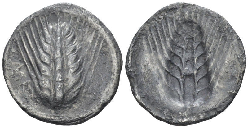 Lucania, Metapontum Drachm circa 540-510, AR 19.00 mm., 2.34 g.
Barley ear. Rev...