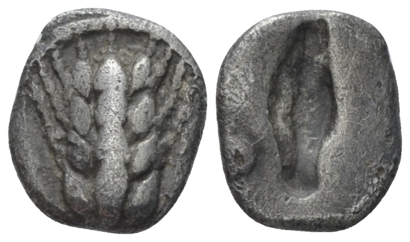 Lucania, Metapontum Diobol circa 470-440, AR 9.00 mm., 0.77 g.
Ear of barley wi...