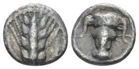 Lucania, Metapontum Obol circa 440-430
