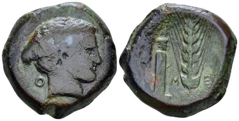 Lucania, Metapontum Bronze circa 425-350, Æ 22.00 mm., 11.11 g.
Head of Nike r....