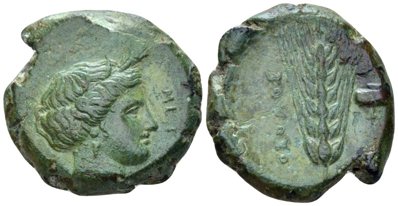 Lucania, Metapontum Obol circa 425-350, Æ 22.00 mm., 8.91 g.
Wreathed head of D...