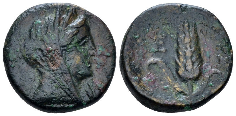 Lucania, Metapontum Bronze circa 300-250, Æ 15.00 mm., 2.32 g.
Veiled head of D...
