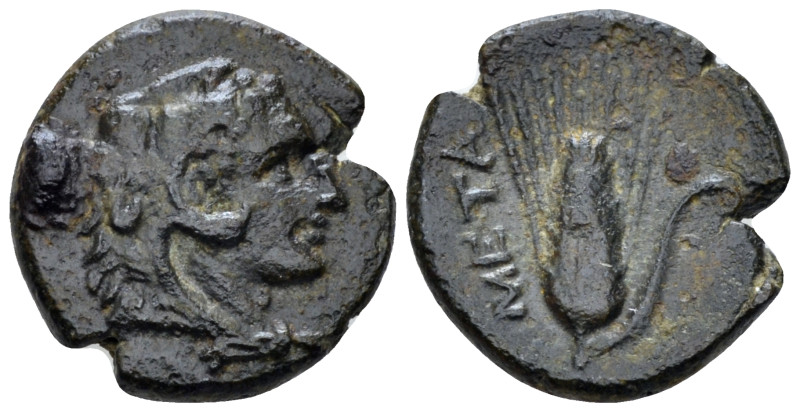 Lucania, Metapontum Bronze circa 300-250, Æ 15.00 mm., 2.26 g.
Head of Heracles...