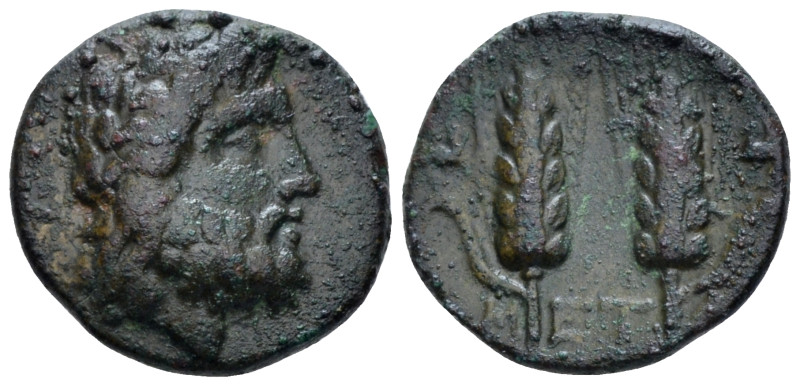 Lucania, Metapontum Bronze First quarter III to mid III century BC, Æ 15.00 mm.,...