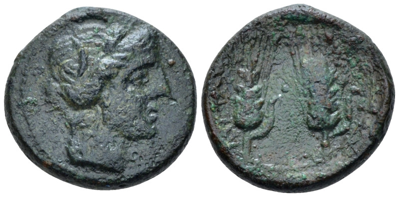 Lucania, Metapontum Bronze First quarter III to mid III century BC, Æ 17.00 mm.,...