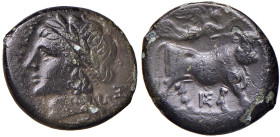 CAMPANIA Neapolis - AE (circa 275-250 a.C.) Testa di ninfa a s. - Toro androcefalo andante a d. e incoronato da Nike. - cfr. S. ANS AE (g 4,65)
MB