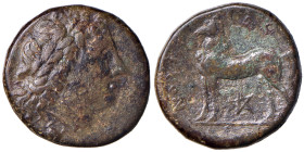 BRUTTIUM Nuceria - AE (circa 225-200 a.C.) Testa di Apollo a d. - R/ Cavallo stante a s. - S. ANS 595 AE (g 8,65)
MB+