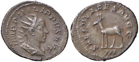 Filippo II (244-249) Antoniniano - Busto radiato a d. - R/ Antilope stante a s. - RIC 224 AG (g 4,00)
SPL