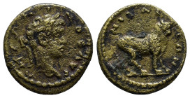 BITHYNIA. Nicaea. Caracalla (198-217). Ae. (17mm, 3.2 g) Obv: ANTΩNINOC AYΓ. Laureate head right. Rev: NIKAIEΩN. Bull standing right.