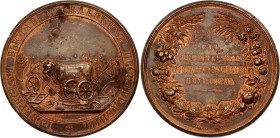 Russia Table Prize Medal "Provincial Exhibition of Rural Works" 1845 - 1852 (ND)