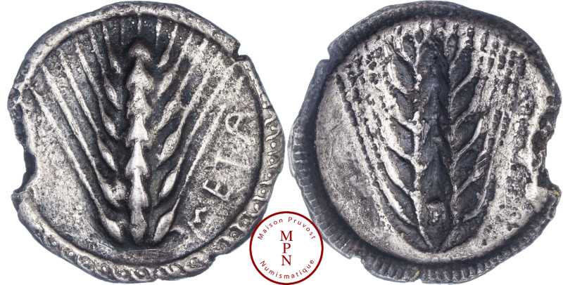 Lucanie, Métaponte, Statère, 510-470 avant J.-C., Av. META, épi d'orge à 7 grain...