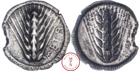 Lucanie, Métaponte, Statère, 510-470 avant J.-C., Av. META, épi d'orge à 7 grains au centre, frise pointé tout autour, Rv. Incus, Argent, TTB, 7.71 g,...