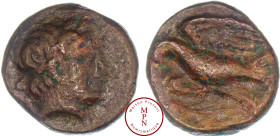 Égypte, Ptolémée Ier Soter (305/4-282 avantJ.,-C.), Chalque (Chalkous), Av. Tête diadémée d'Alexandre III à droite, Rv. Aigle à gauche, Bronze, TB, 1....