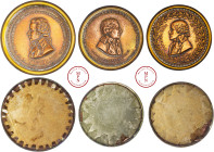 Louis XVI (1774-1792), Constitution, Lot de 3 médailles, repoussés en cuivre cerclés de laiton, Période Révolutionnaire, Cambacérès, Picot de Dampière...