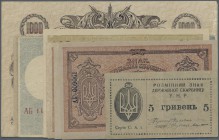 Ukraina: Huge set with 11 Banknotes series 1918-1920 containing 3 x 1000 Karbovantsiv ND(1918-20) P.35a,b, 3 x 10 Karbovantsiv ND(1919) P.36a, 25 Karb...