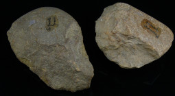 Paléolithique - Espagne Grenade - Lot de 2 galets ouvragés
Lot de 2 galets ouvragés. Travail par éclatement de galets pour obtenir un objet tranchant...