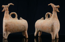 Iran - Culture Amlash - Bouc en terre cuite - 1400 / 1000 av. J.-C.
Bouc en terre cuite, au long cou et au corps en forme de tonneau avec un anneau d...