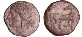 Siculo-Puniques - Carthage - Bronze (220-210 av. J.-C.)
A/ Tête de Tanit à gauche.
R/ Cheval à droite regardant à gauche.
SUP
GC.6517-Müller II,98...