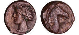 Siculo-Puniques - Carthage - Bronze à l'effigie de Tanit (245-146 av. J.-C.)
A/ Tête de Tanit à gauche.
R/ Protomé de cheval à droite.
TTB
GC.6526...