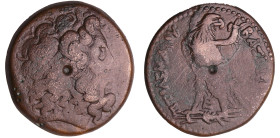 Royaume Lagide - Ptolémée II, Philadelphos - Grand bronze (285-246 av. J.-C.)
A/ Tête de Zeus à droite. 
R/ ΠTΟΛΕΜΑΙΟΥ ΒΑΣΛΕΩΣ. Aigle debout à gauch...