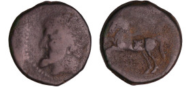 Royaume de Numidie - Massinissa - Bronze (202-148 av. J.-C.)
A/ Anépigraphe. Tête laurée et barbue du roi à gauche.
R/ Cheval à gauche devant un cad...