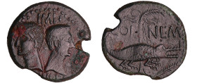 Agrippa et Auguste - Dupondius de Nîmes - (9-3 av. (J.-C.) variété avec la tête d'Auguste barbu
A/ IMP DIVI F. Têtes adossées d'Auguste tête laurée, ...