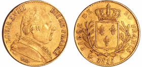 France - Louis XVIII (1815-1824) - 20 francs au buste habillé 1815 A (Paris)
TTB+
Ga.1026-F.517
 Au ; 6.40 gr ; 21 mm