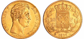 France - Charles X (1824-1830) - 20 francs 1828 A (Paris)
SUP
Ga.1029-F.520
 Au ; 6.39 gr ; 21 mm