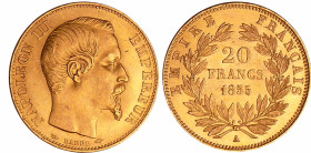 France - Napoléon III (1852-1870) - 20 francs tête nue 1855 A (Paris)
SPL
Ga.1061-F.531
 Au ; 6.46 gr ; 21 mm
Rare dans cette qualité.