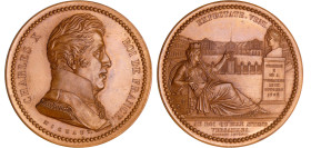 France - Charles X (1824-1830) - Médaille, voeux des habitants de Versailles, (1825)
SUP+
Colignon 440
 Br ; 54.47 gr ; 51 mm
Frappe originale,san...