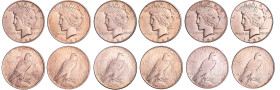 Etats-Unis - Dollar "Peace" Lot de 6 monnaies 1922, 1923, 1924, 1925, 1928, 1935
TTB à FDC
KM#150
 Ar ; -- ; 38 mm