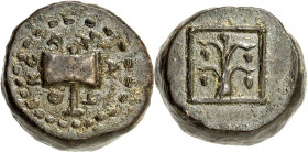 THRAKIEN. 
KÖNIGREICH. 
Amatokos 389-380 v. Chr. AE-19/20mm, 6mm dick (359 -351 v.Chr.) 13,56g. Weinstock im Linienquadrat / Bipennis AMA-T-OKO (T a...