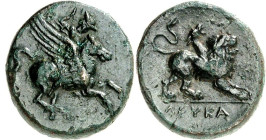 AKARNANIEN. 
STÄDTE. 
LEUKAS (Levkas). AE-16/18mm (350/300 v.Chr.) 4,21g. Bellerophon auf dem n.r. fliegenden Pegasos sitzende, Lanze in der erhoben...