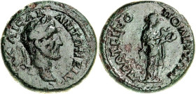 THRAKIEN. 
PLOTINOPOLIS (Didymoteichon). 
Antoninus Pius 138-161. AE-Hemiassarion 20mm 5,81g. Kopf mit Lorbeerkranz n.r. AUT KAI C A R - ANTWN EINOC...