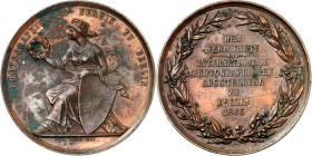 STÄDTE. 
DEUTSCHE STÄDTE. 
BERLIN. Verdienstmedaille 1865 (v. G. Loos) d. Int. Photographischen Ausstellung, gewidmet v. photographischen Verein zu ...