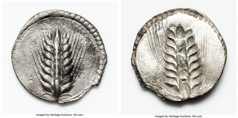 LUCANIA. Metapontum. Ca. 540-510 BC. AR stater (25mm, 5.95 gm, 12h). NGC (photo-...