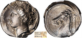 ZEUGITANE
Carthage, monnaies Siculo-puniques (350-325) : Tétradrachme à la tête d'Aréthuse couronnée de roseaux à gauche, 3 dauphins - R/: Tête de ch...