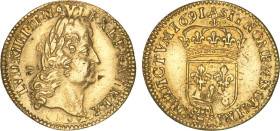 LOUIS XIV le Grand (1643-1715)
1/2 louis d'or à l'écu, mèches groupées
1691 A - TTB 40 (TTB+)
rf - Très Rare !!, poinçon avers

Ex CGB
DR 241, D...