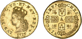 LOUIS XV le Bien aimé (1715-1774)
1/2 louis d'or de Noailles
1717 A - SPL 61 (SUP+)
2e s. - Très Rare !!, légèr. brossé


DR 506, D 1631, GR 335...