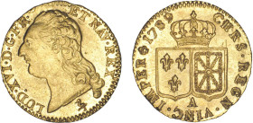 LOUIS XVI (1774-1792/93)
Louis d'or à la tête nue
1789 A - SPL 63 (SUP++)
2e sem. - Très Rare !!


DR 605, D 1707, GR 361, R 10, KM# 591, Fr# 47...